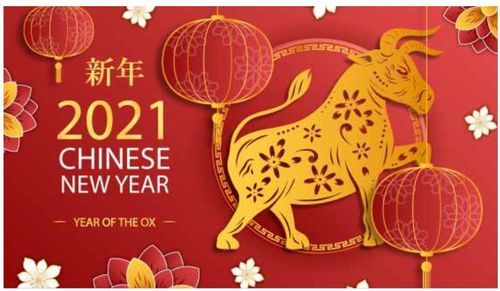 河南盛順凱新型建筑材料有限公司祝大家新年快樂(lè)，牛年更比一年牛！